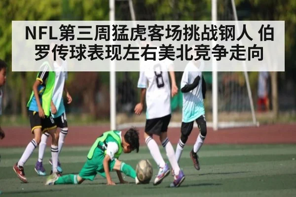 NFL第三周猛虎客场挑战钢人 伯罗传球表现左右美北竞争走向